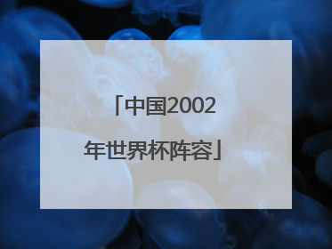 「中国2002年世界杯阵容」国足2002年世界杯阵容