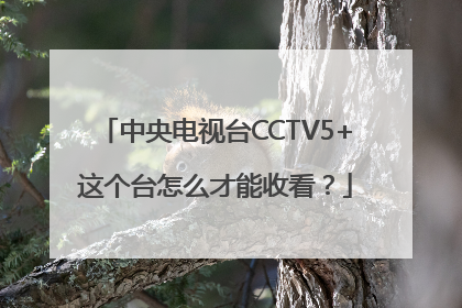 中央电视台CCTV5+这个台怎么才能收看？